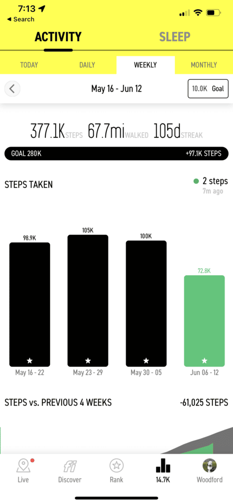Fi Counts Your Dog's Steps